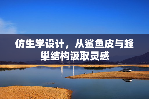 仿生学设计，从鲨鱼皮与蜂巢结构汲取灵感