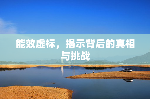 能效虚标，揭示背后的真相与挑战